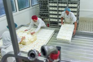 photo corporate de l'ENILV de La Roche sur Foron ( école nationale des industries du lait et des viandes), l'atelier laiterie ou sont fabriqués les reblochons, a La Roche sur foron, le 13 novembre 2014, photo Gilles BERTRAND www.gillesbertrand.fr