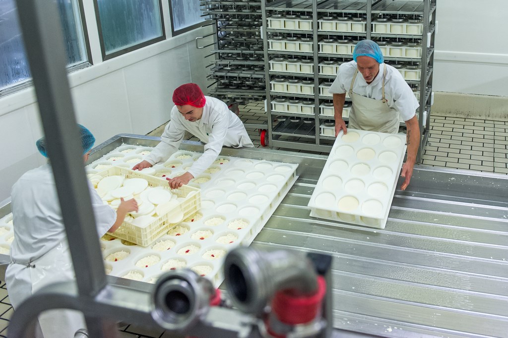 photo corporate de l'ENILV de La Roche sur Foron ( école nationale des industries du lait et des viandes), l'atelier laiterie ou sont fabriqués les reblochons, a La Roche sur foron, le 13 novembre 2014, photo Gilles BERTRAND www.gillesbertrand.fr