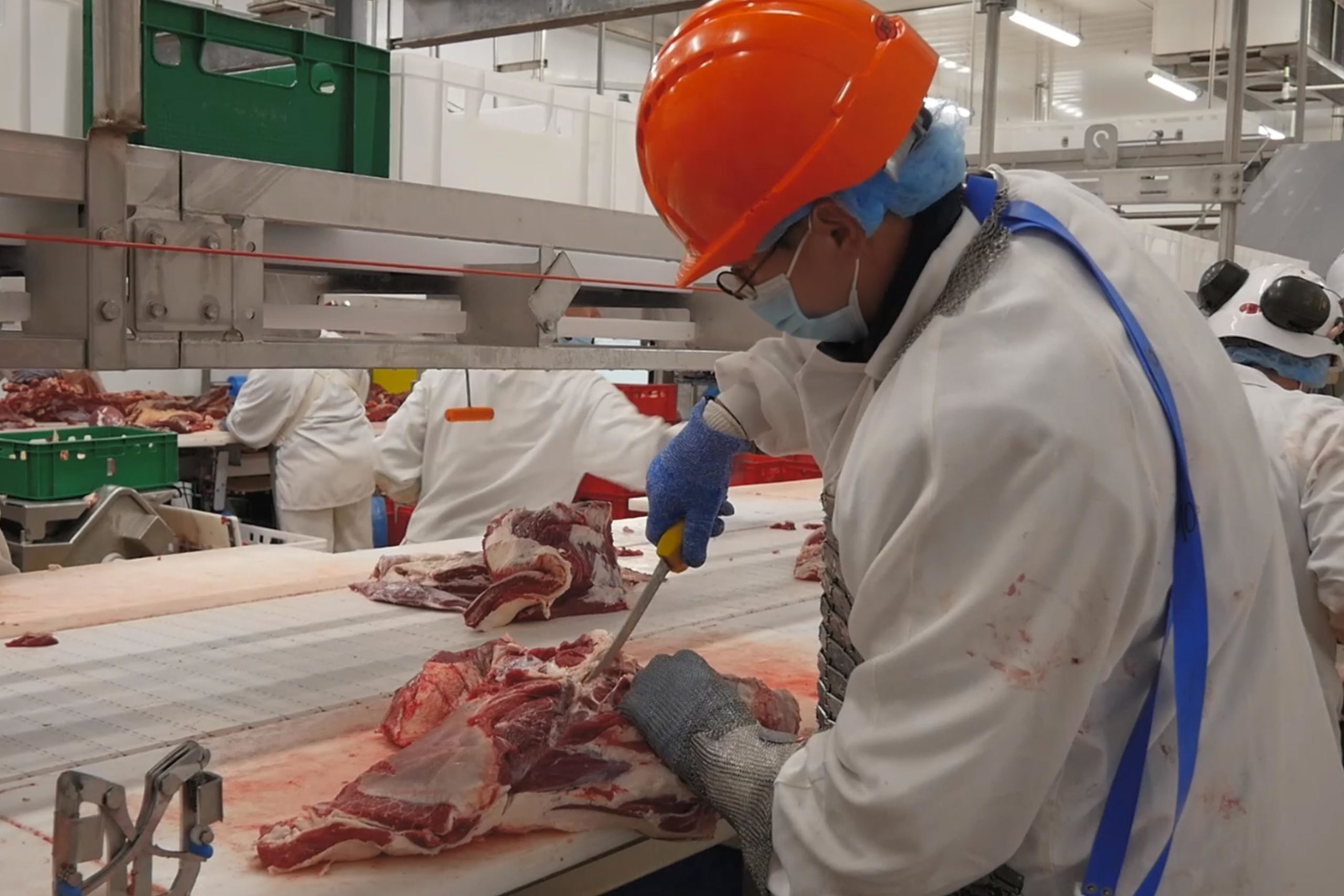 Capture-CQP-3-retouchée-WEB